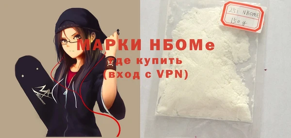 гашик Пестово