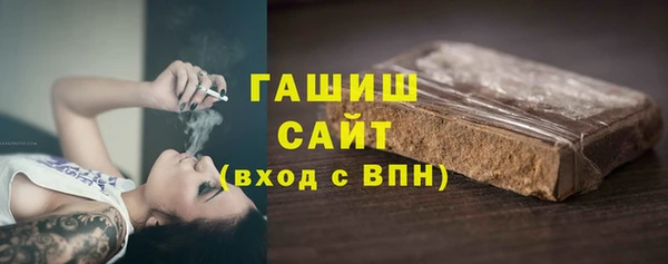 гашик Пестово