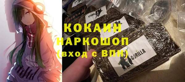 гашик Пестово