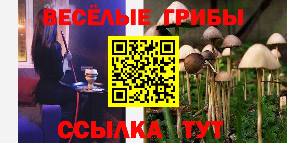 Псилоцибиновые грибы Magic Shrooms Котельники