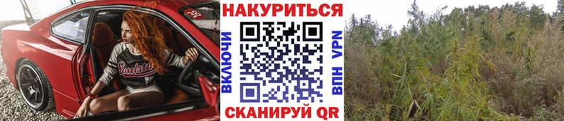 Каннабис AK-47  Котельники 